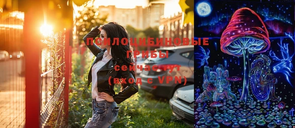 ГАЛЛЮЦИНОГЕННЫЕ ГРИБЫ Анива