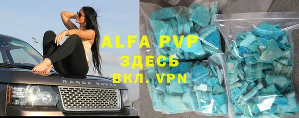 сатива Анжеро-Судженск