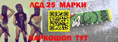 амфетамин Гатчина