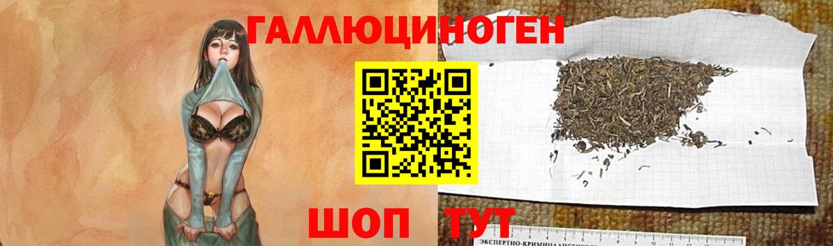 Галлюциногенные грибы мицелий  Вход с VPN  Псилоцибиновые грибы мухоморы  Кольчугино 